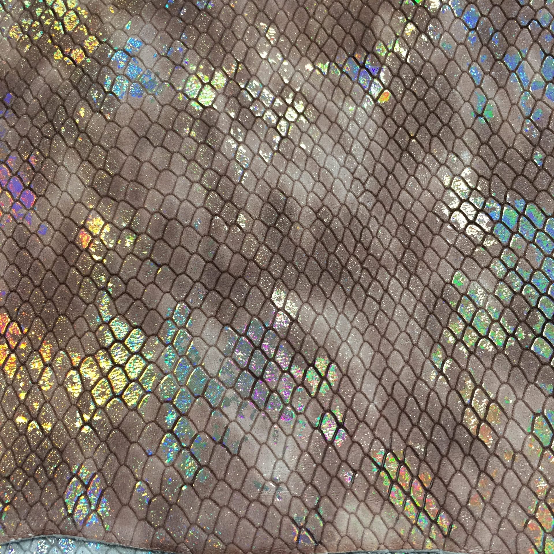 Gaboon Snake Print Lambskin avetcoinc@ (1)