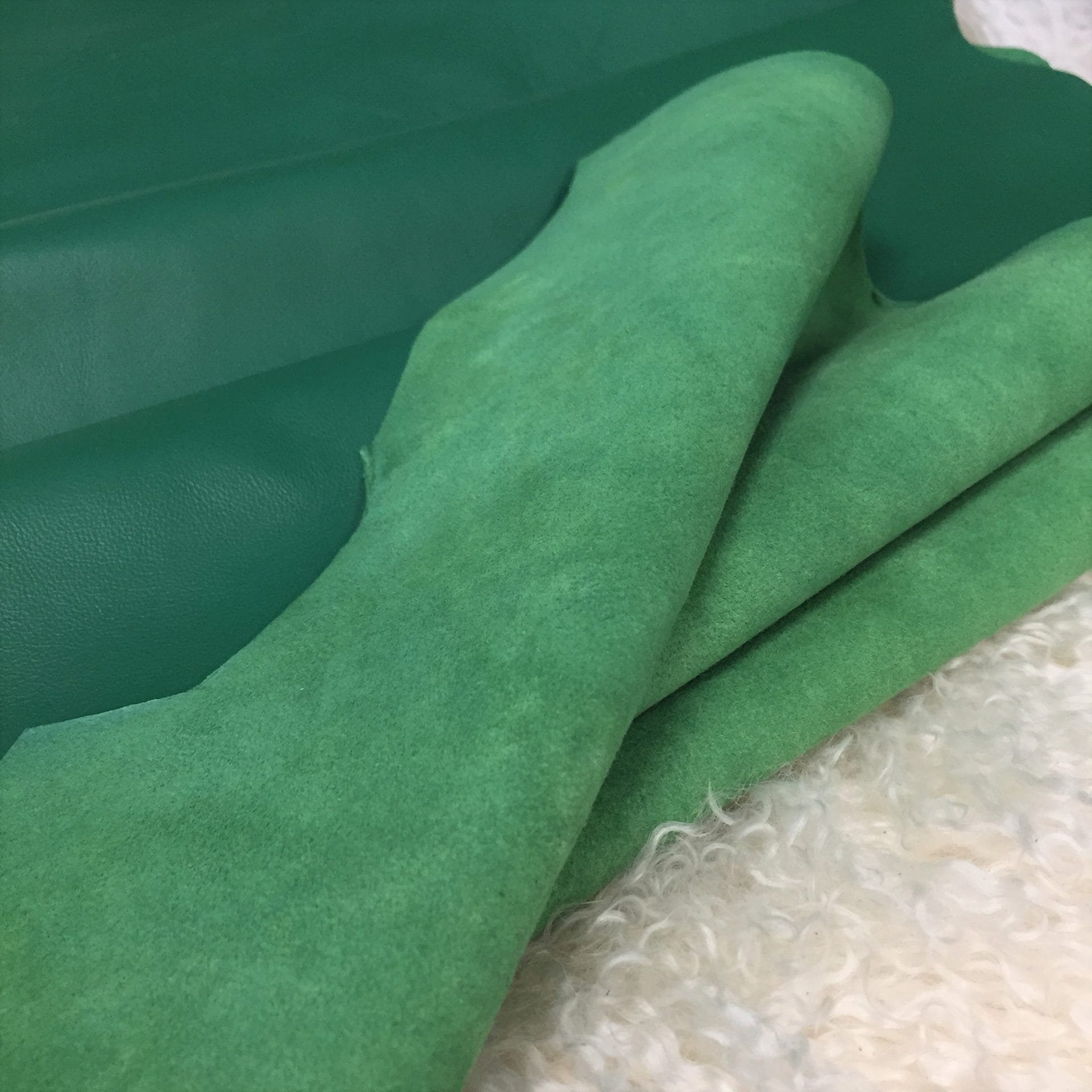 Lambskin Kelly Green Avetcoinc@ (8)