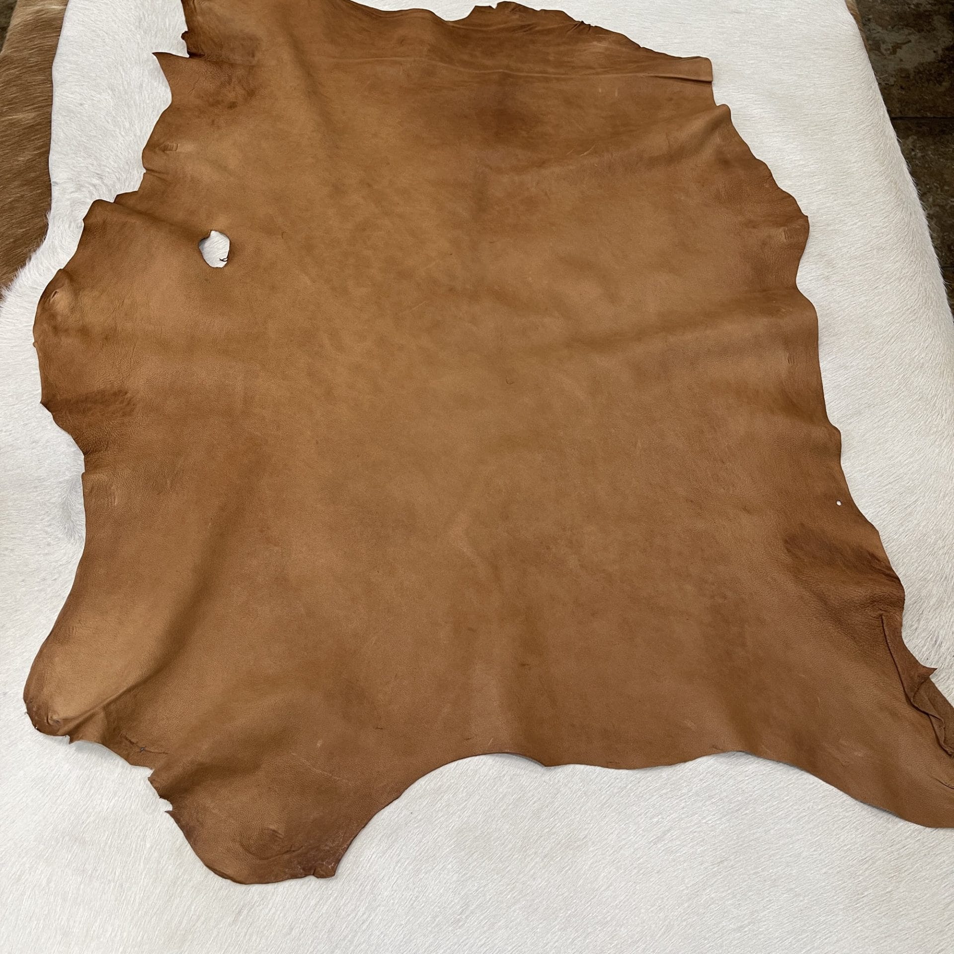SL-103TAN