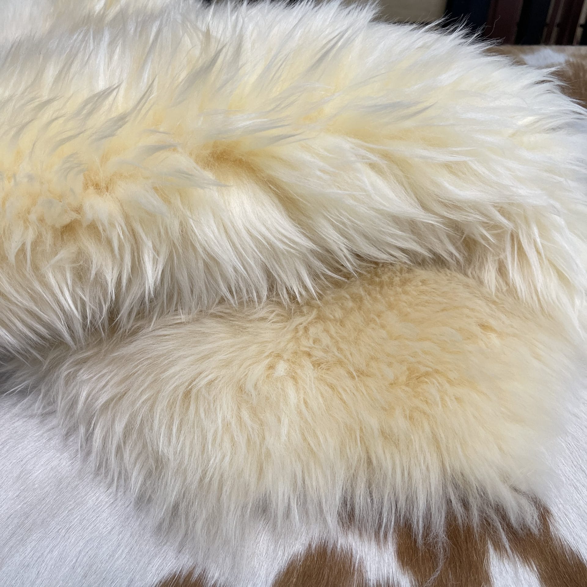 Australian-Sheepskin Cream avetcoinc (1)