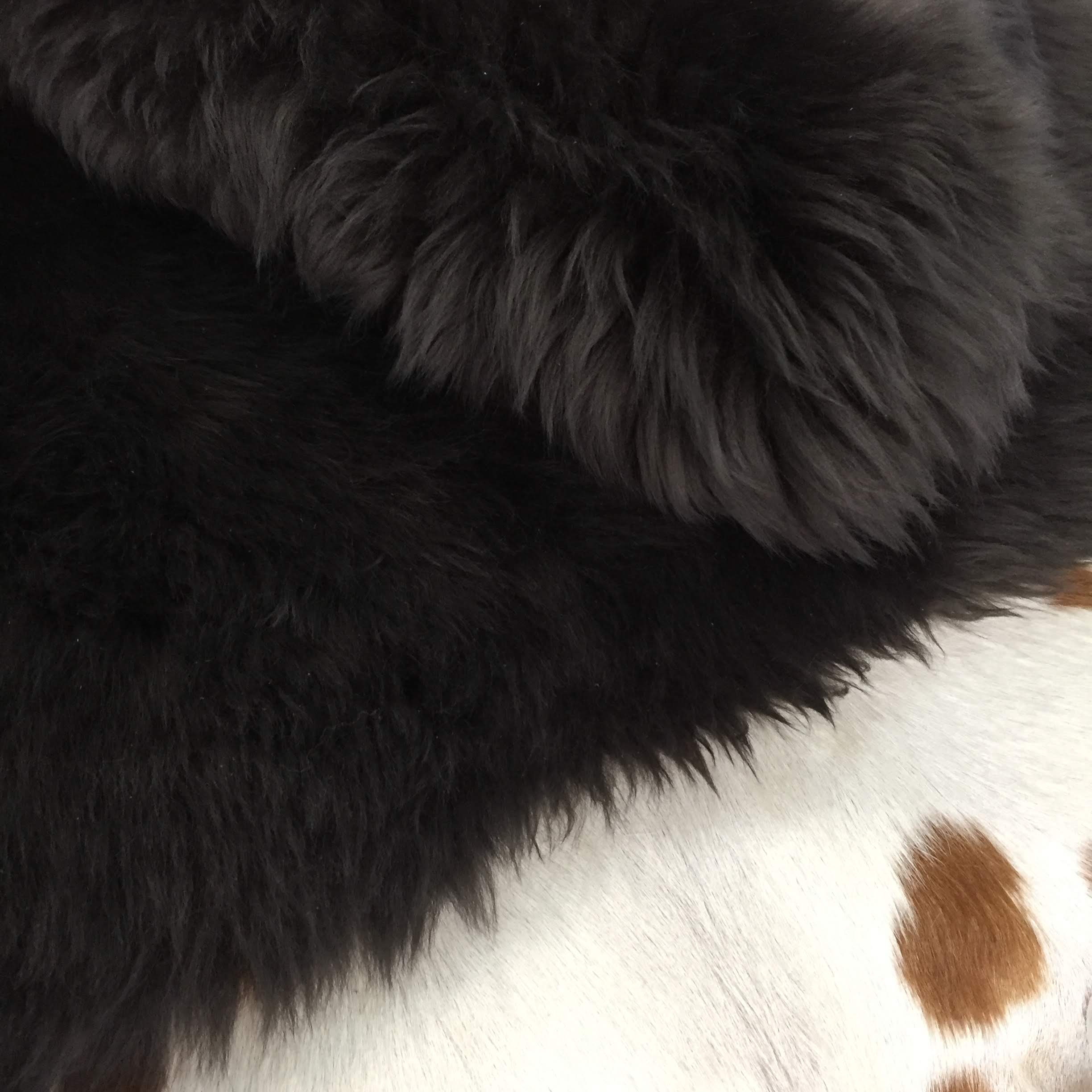 Australian-Sheepskin-JIN610-Chocolate-avetcoinc