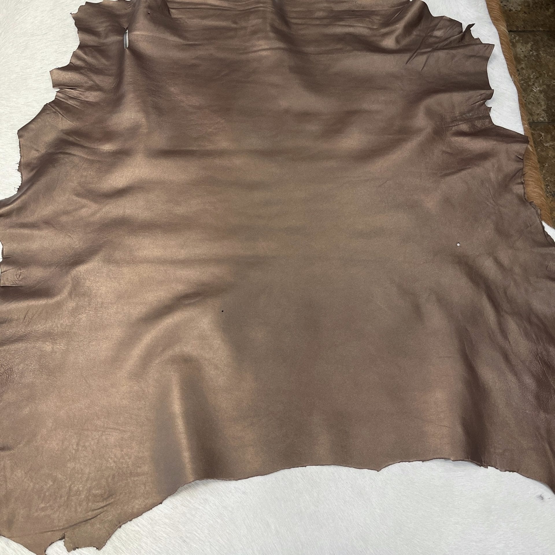 Lambskin Chocolate