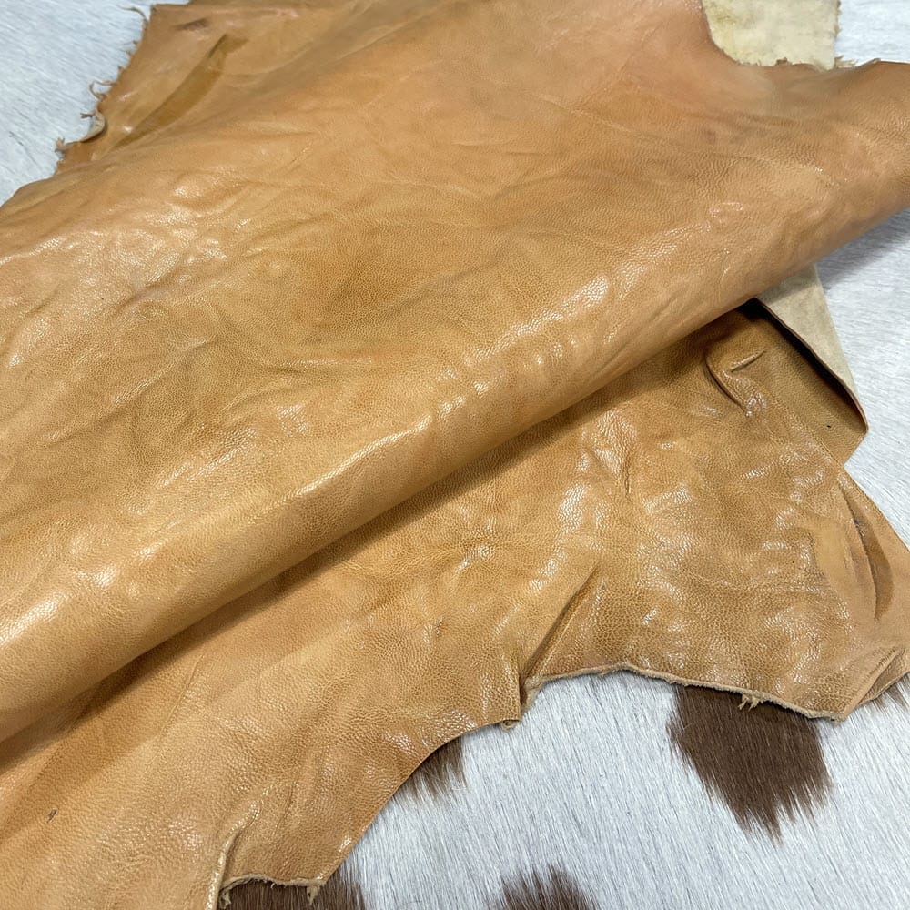 Copy-of-SL-209NUG-Nugget-Goat-2