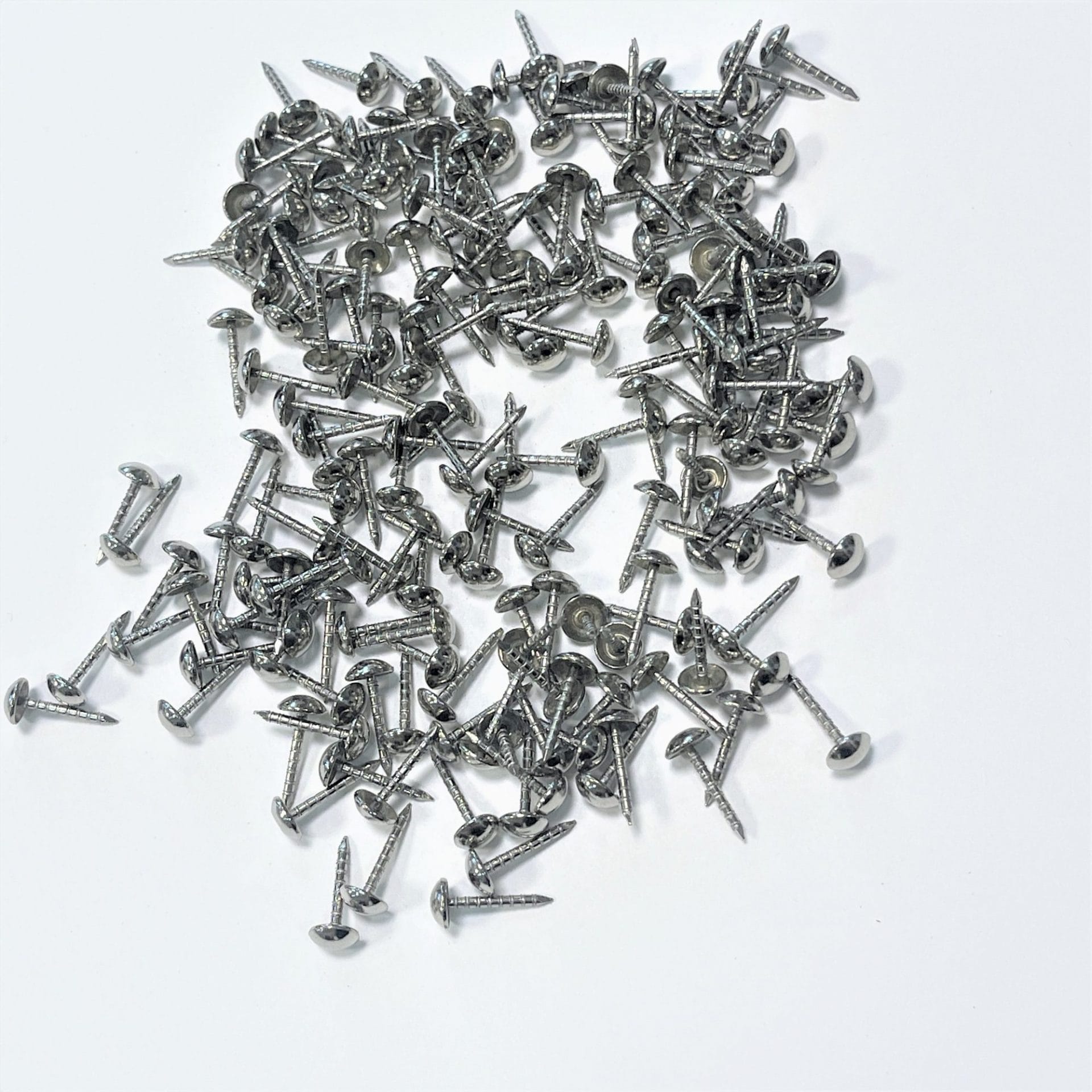 Decorative Ringed Shank Steel Nails avetcoinc@ (2)