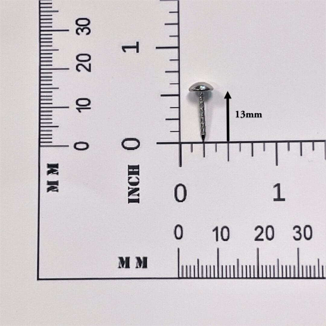 Decorative Ringed Shank Steel Nails avetcoinc@ (5)