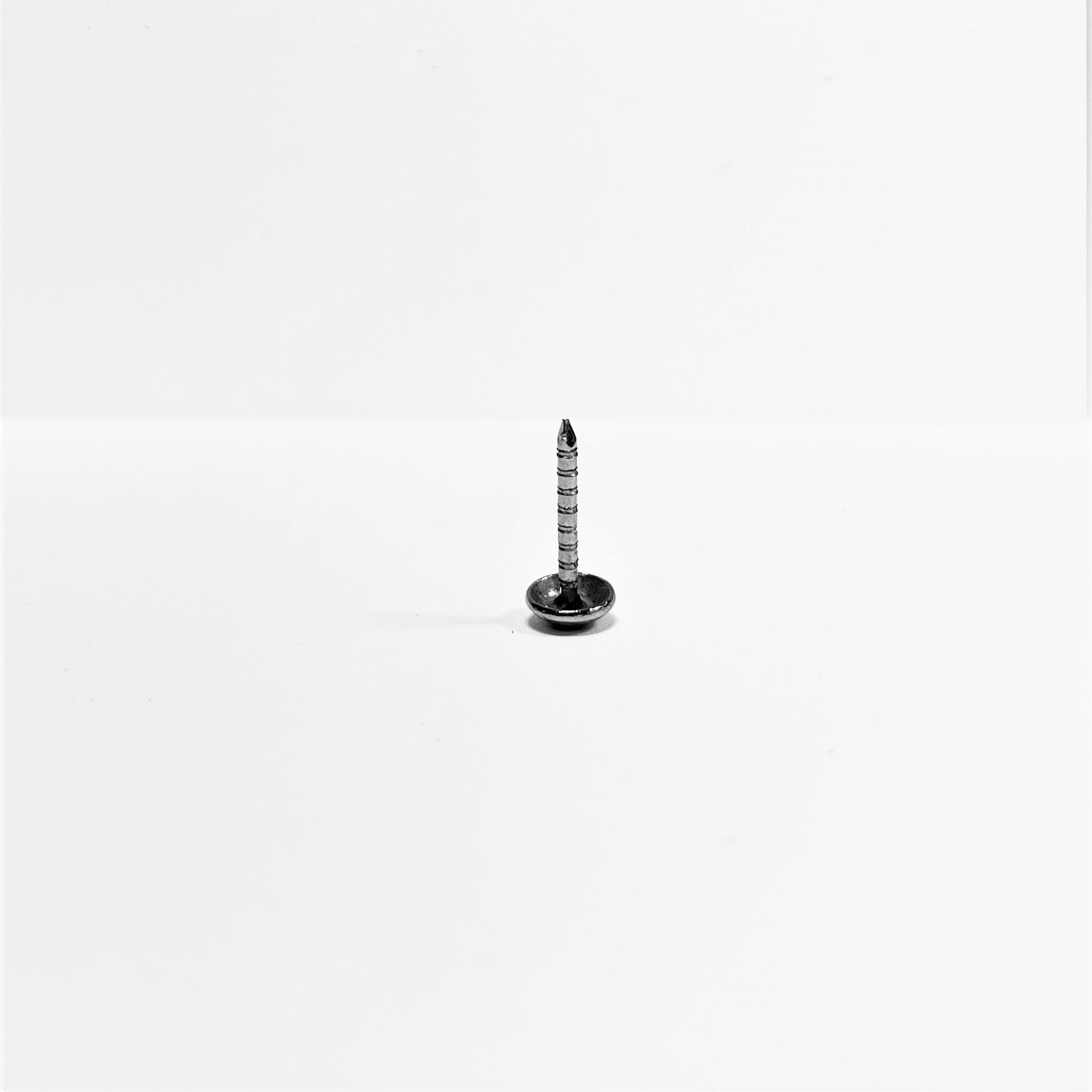Decorative Ringed Shank Steel Nails avetcoinc@