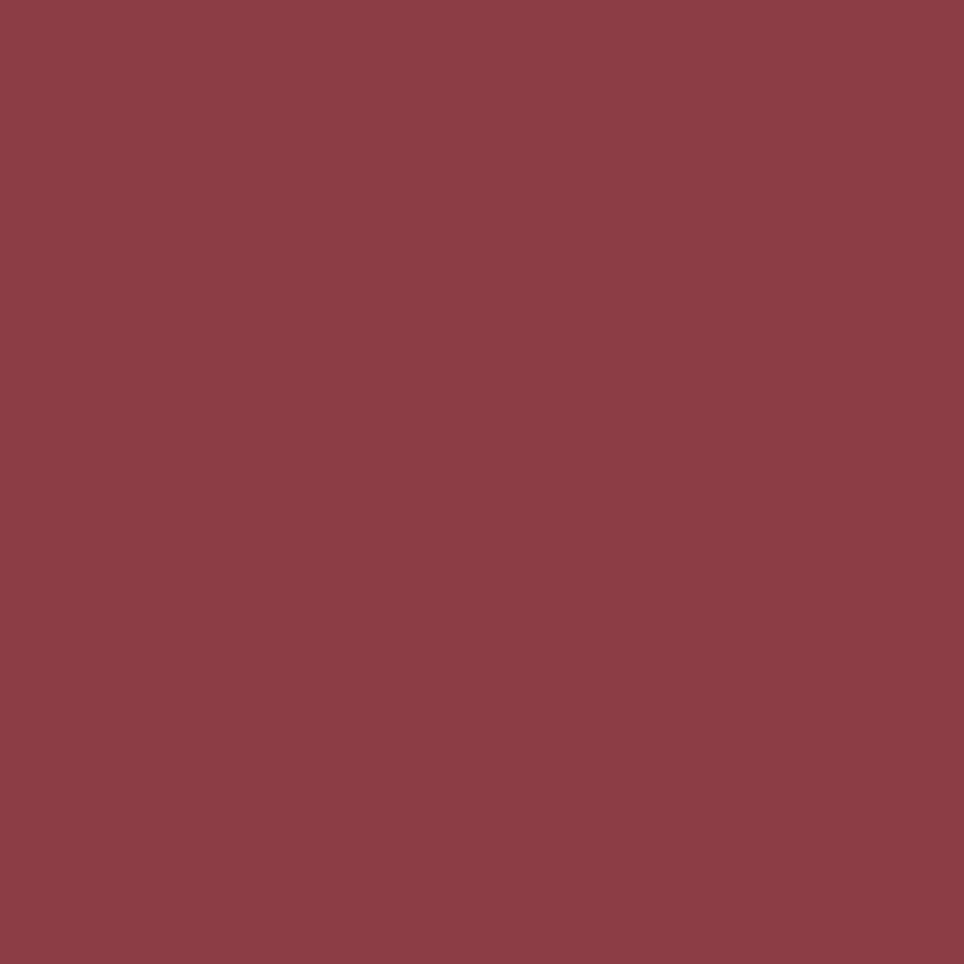 Deep Red – Brick Red 19-1543 TPX