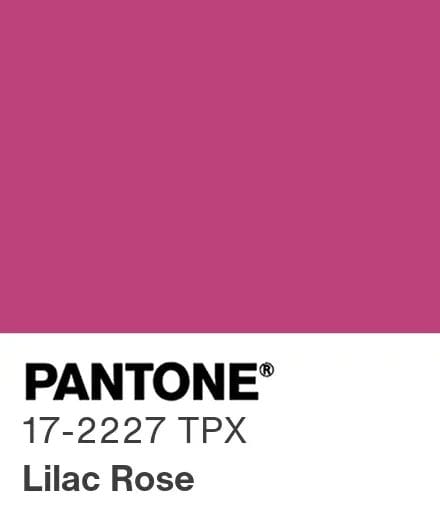 Bright Fuchsia17-2227 TPX