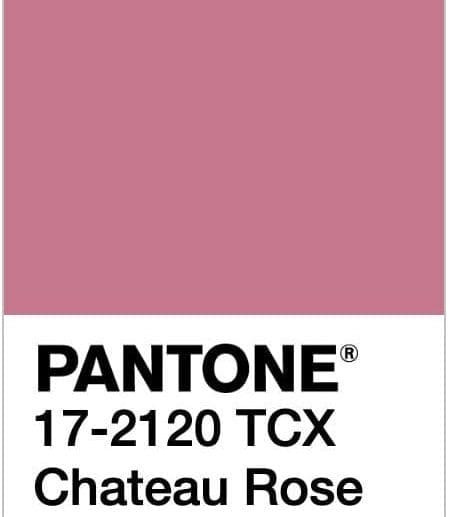 Pink 17-2120 TPX