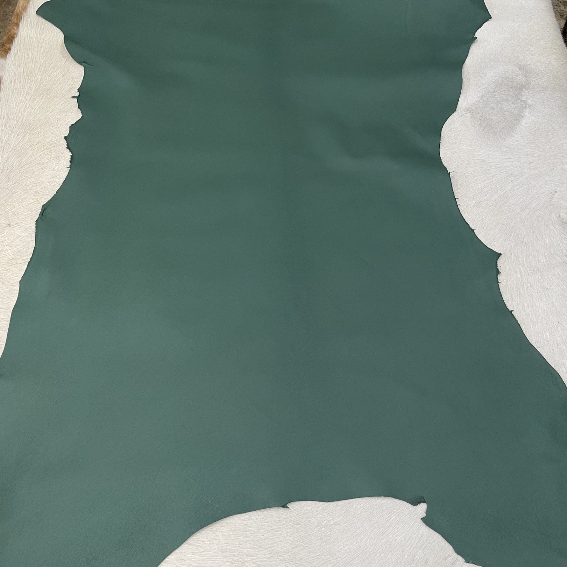 SL-201EVG Goatskin