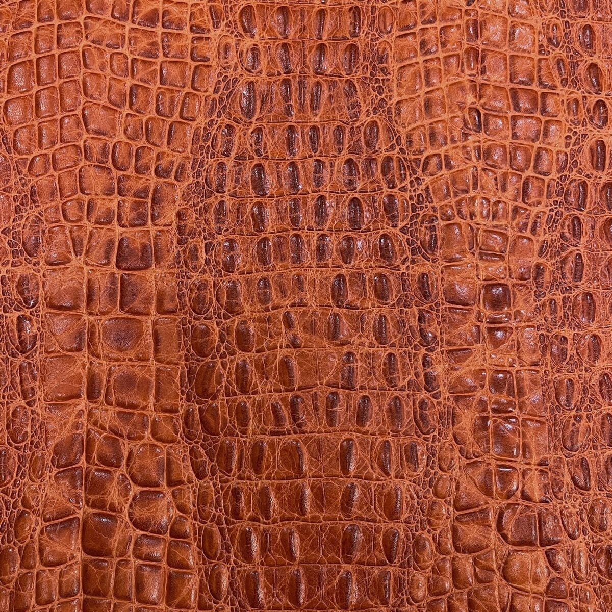 Oltu-Cow-Embossed-Burnt-Orange