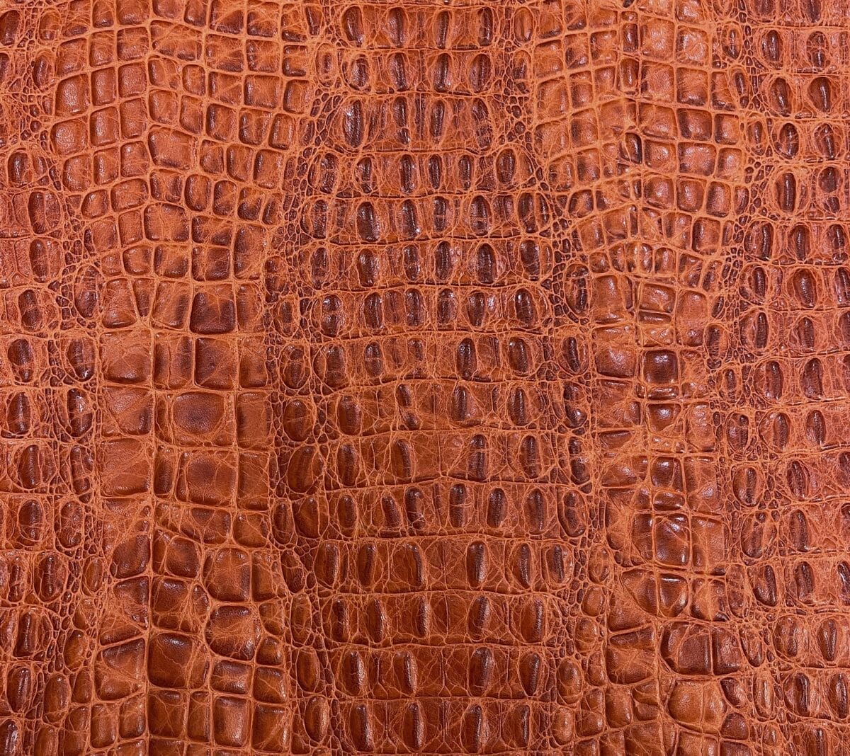 Oltu-Cow-Embossed-Burnt-Orange