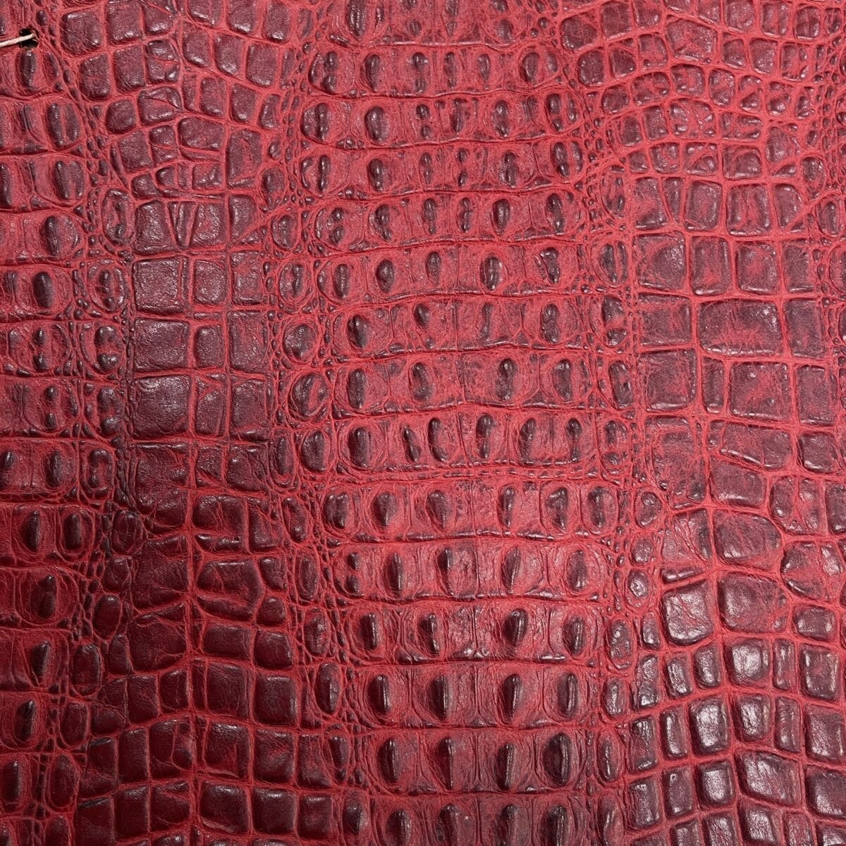 Avetco-Inc-Oltu-Cow-Leather-Embossed-Red