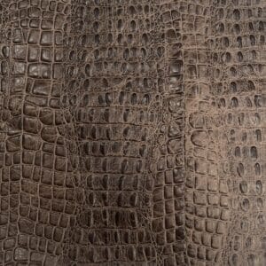 Oltu Crocodile Embossed Leather in Khaki Taupe – Avetco