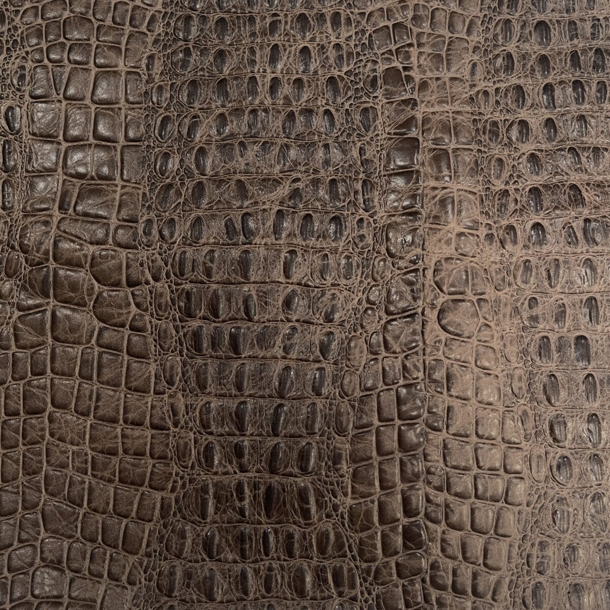Avetco- Oltu Cow Leather Embossed khaki Taupe