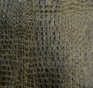 Oltu Crocodile Embossed Leather in Army Green – Avetco