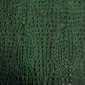 Oltu crocodile embossed cow leather hide in amazon green. Avetco