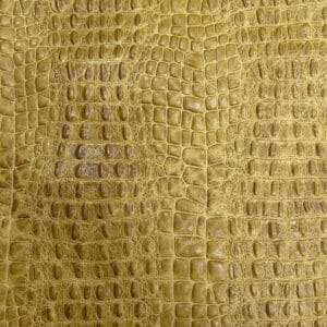 Oltu crocodile embossed cow leather hide in yellow cream gold tone. Avetco