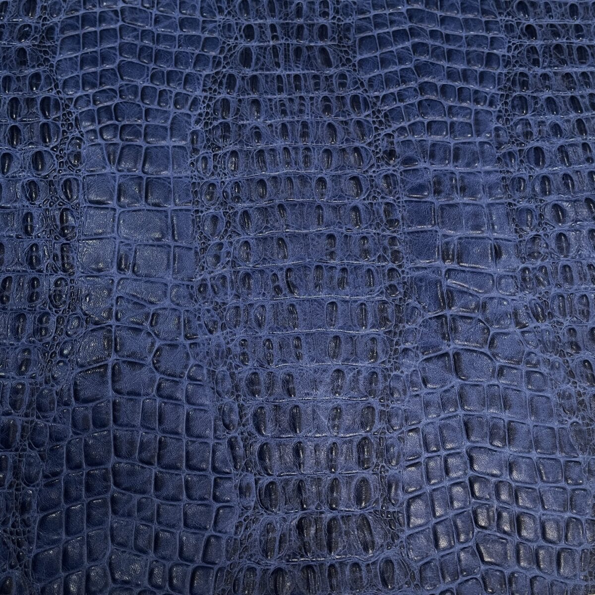Oltu crocodile embossed cowhide in dazzling blue shade. Avetco