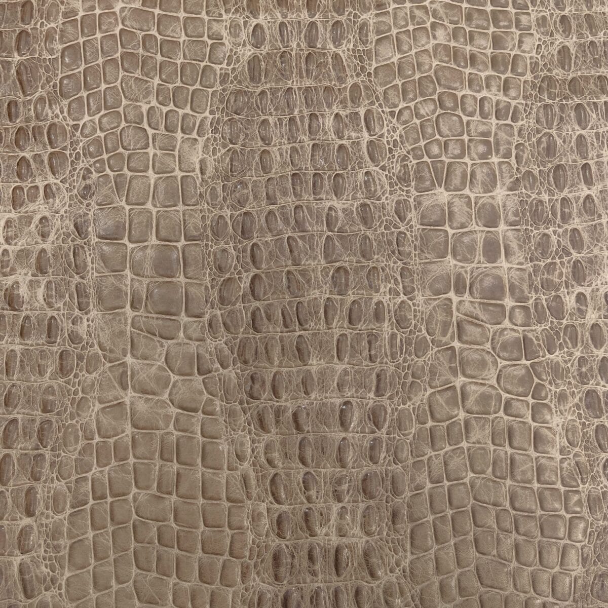 Avetco- Oltu Cow Leather Embossed Sand