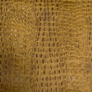 Oltu crocodile embossed cow leather hide in yellow tone. Avetco