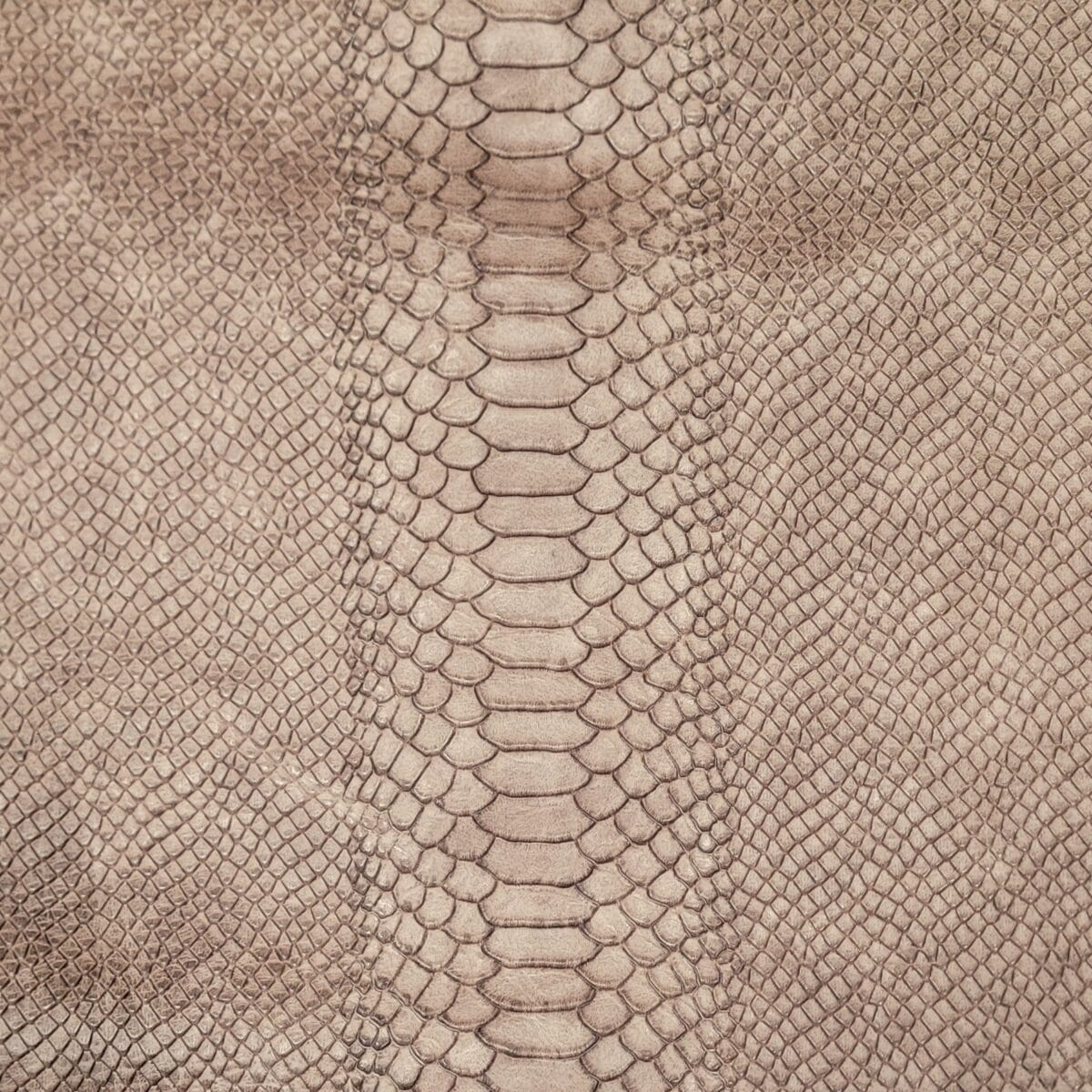 Hektor-Fog-Snake Embossed-Cow Leather-Avetco