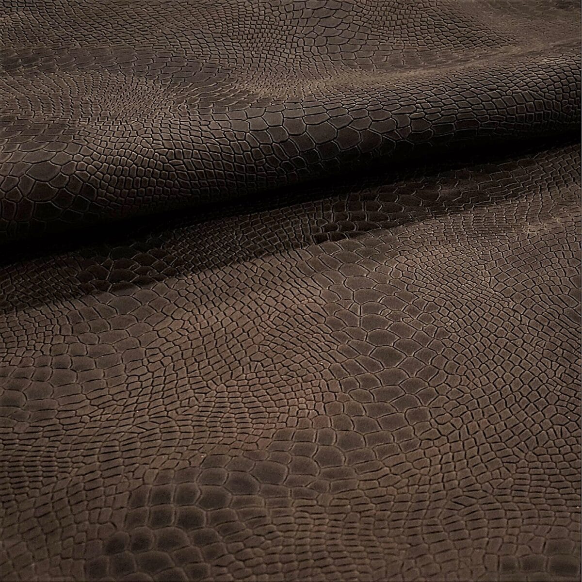 KOP-VMILKYWAY-NOUGAT