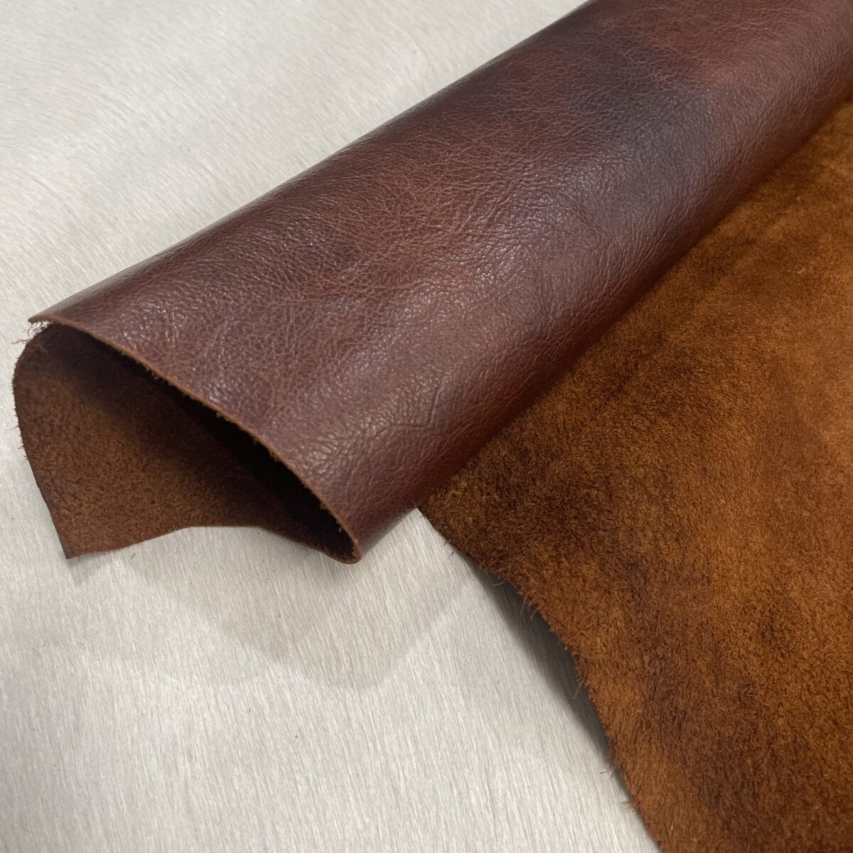 KP-100WHI Bernard Cow Leather