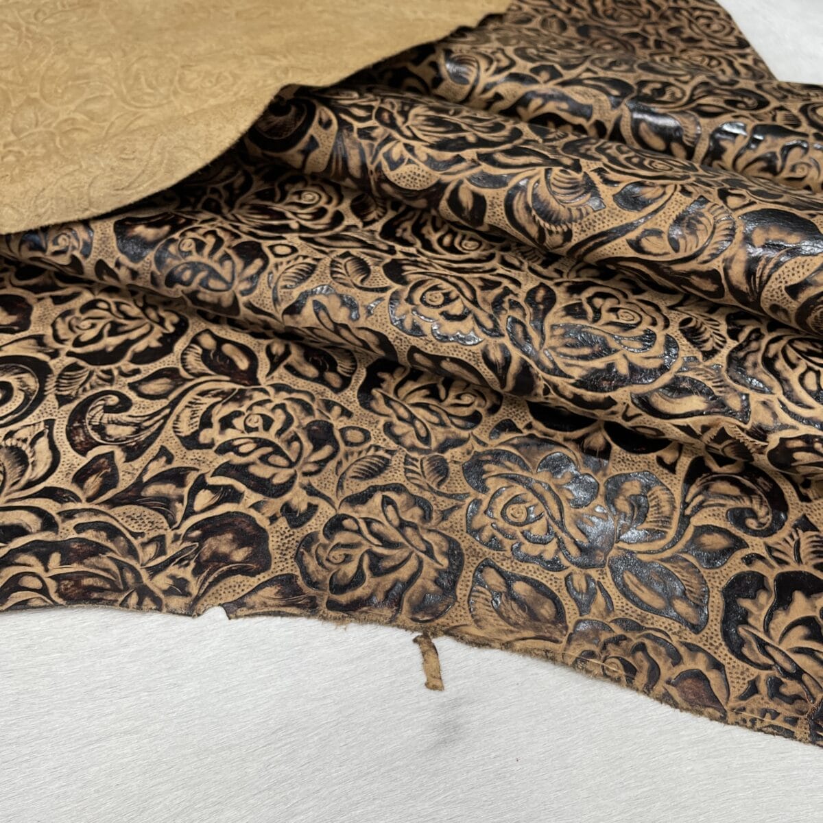 KP-200-22 Cave Bloom