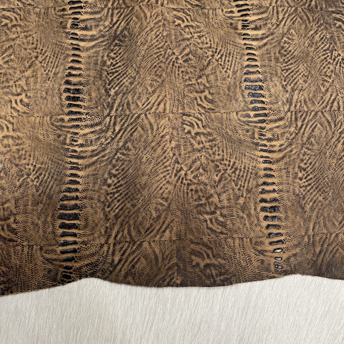 KP-200-4 Fossil Spine