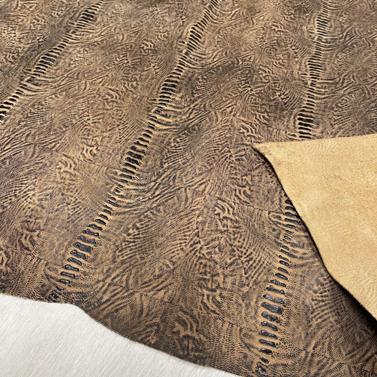 KP-200-4 Fossil Spine