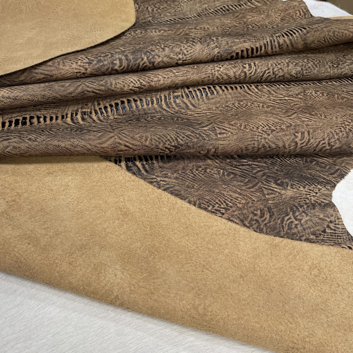 KP-200-4 Fossil Spine 4 4