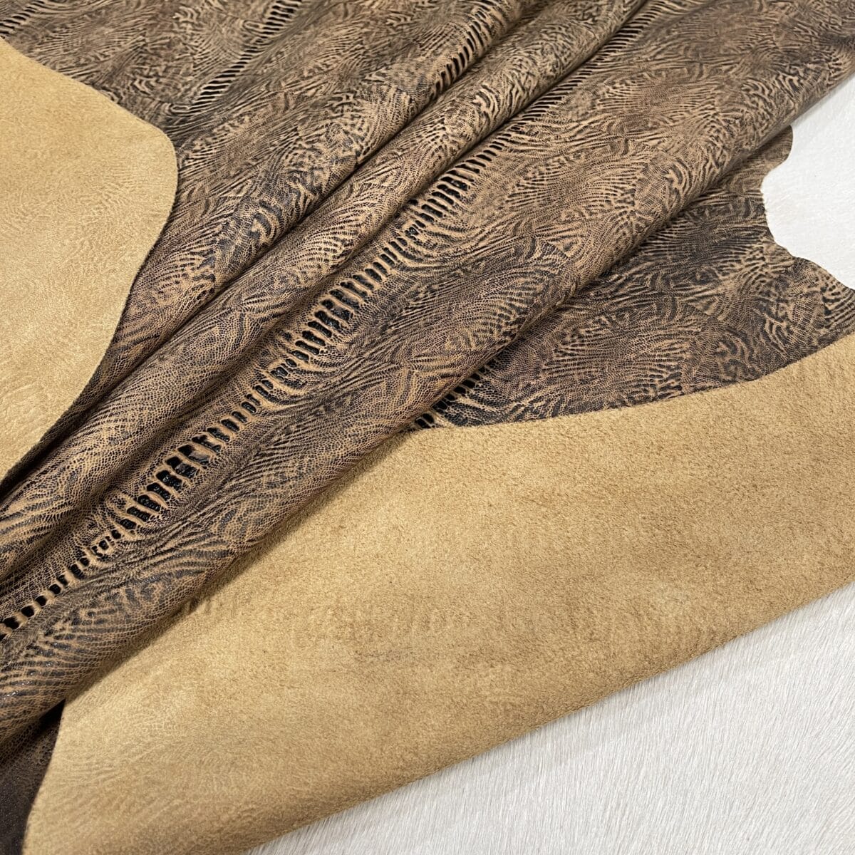 KP-200-4 Fossil Spine