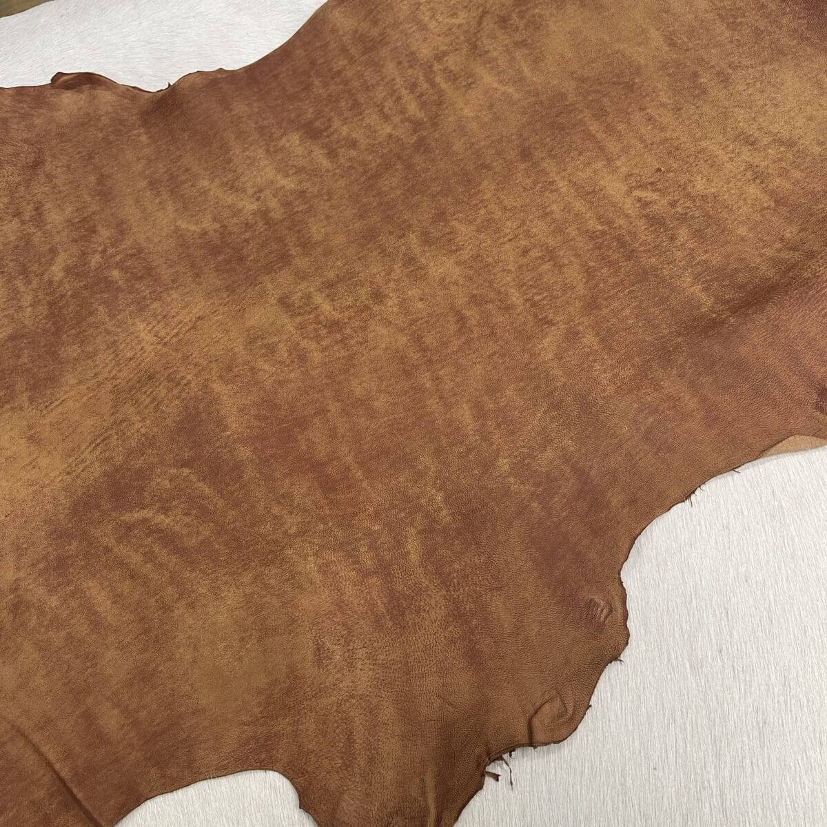 SL-104COG D. Pecan